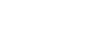 Borch Travels